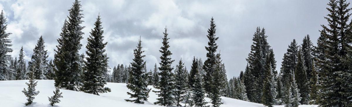 BRECKENRIDGE BUCKET LIST | VisitBreck