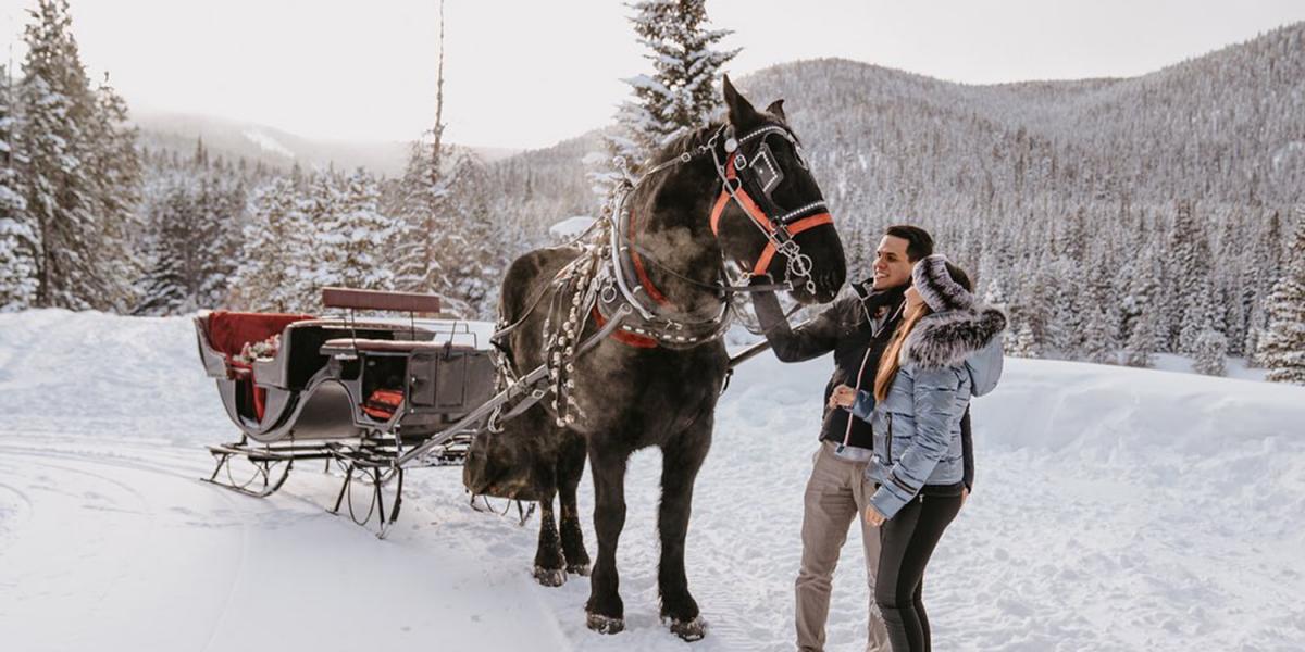 SLEIGH RIDES IN BRECKENRIDGE | VisitBreck